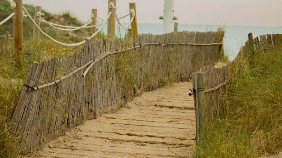 From Valencia: Albufera Day Trip with Boat Tour and Transfer - From Serranos Towers to Albufera Natural Park, the easy escape