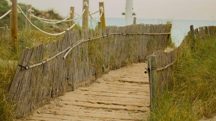 From Valencia: Albufera Day Trip with Boat Tour and Transfer - What to pack and the small rules that matter