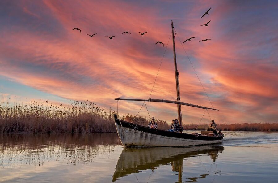 From Valencia: Albufera Day Trip with Boat Tour and Transfer - Coach stops that set up the day: beach, dunes, and birds