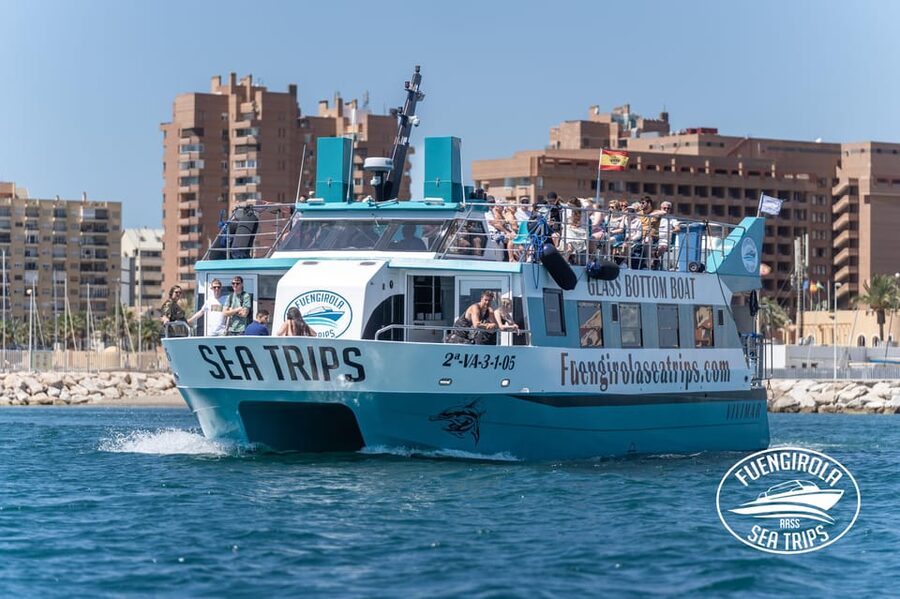 Fuengirola: Catamaran Tour to Spot Dolphins - Key things to know before you sail