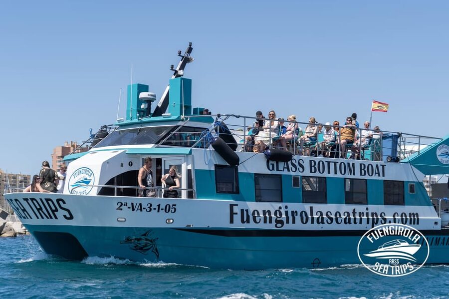 Fuengirola: Catamaran Tour to Spot Dolphins - Dolphins off Fuengirola: why this 2-hour catamaran outing is worth it