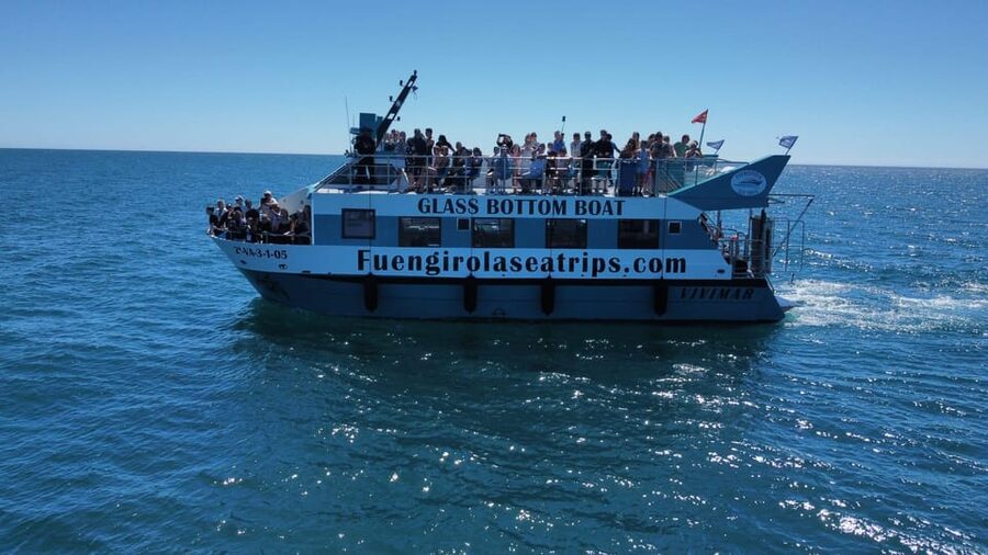 Fuengirola: Catamaran Tour to Spot Dolphins - What happens during the 2 hours at sea (and how dolphin spotting usually plays out)