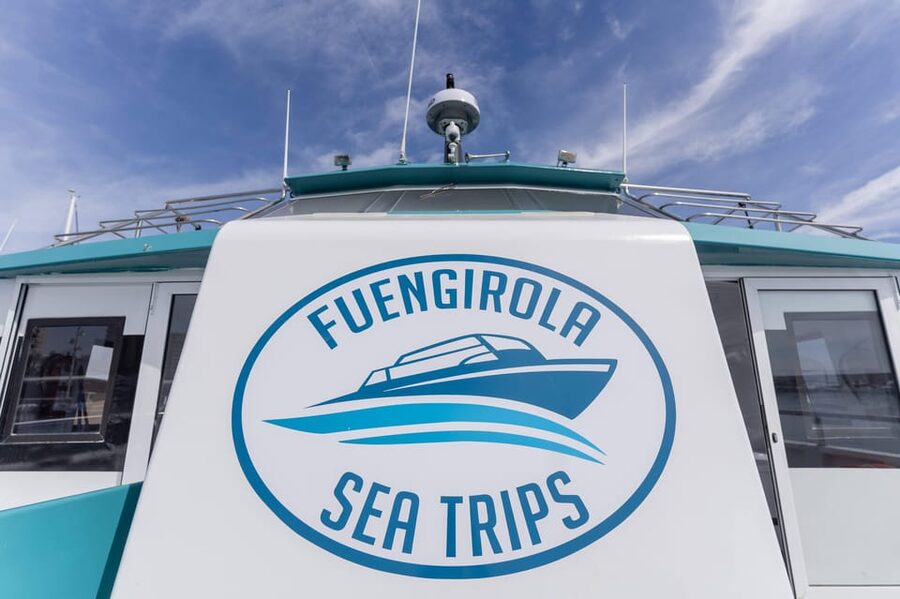 Fuengirola: Catamaran Tour to Spot Dolphins - Best viewing spots on board, from upper deck to window views