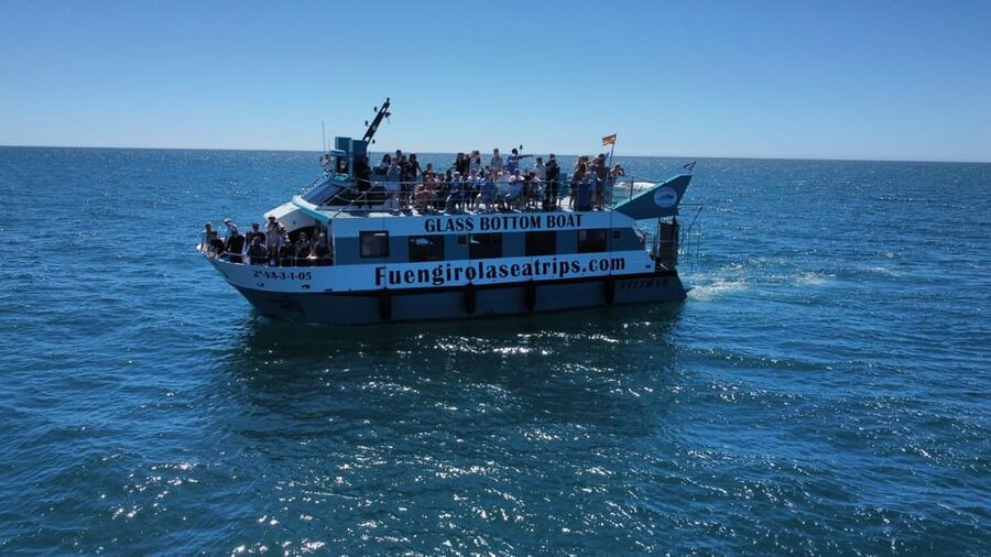 Fuengirola: Catamaran Tour to Spot Dolphins - The onboard bar and bathroom, why they make a short dolphin trip easier