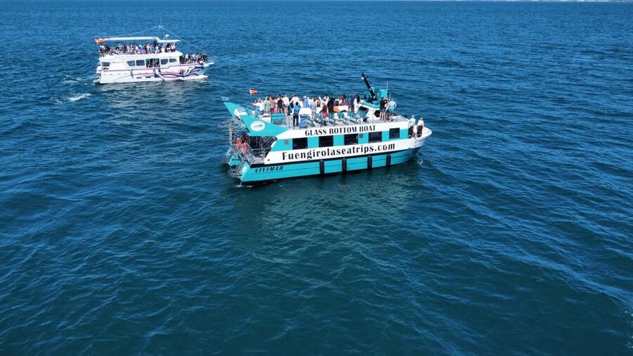 Fuengirola: Catamaran Tour to Spot Dolphins - Getting to Gate 3 at the port, and what to do before you board