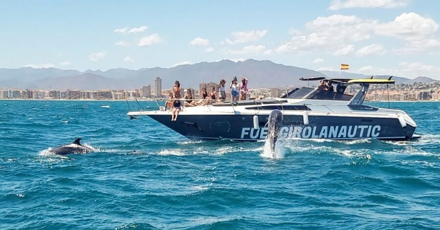 Fuengirola: Dolphin Watching by Yacht with Snacks and Drinks - Who should book this dolphin yacht cruise in Fuengirola