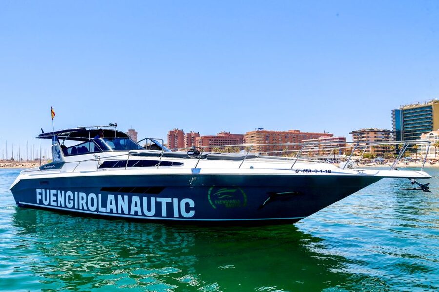 Fuengirola: Dolphin Watching by Yacht with Snacks and Drinks - The 2-hour plan: what you actually do once you leave the port