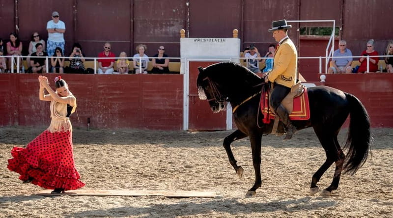 Fuengirola: Spanish Horse Show with Optional Dinner/Flamenco - Key highlights at a glance