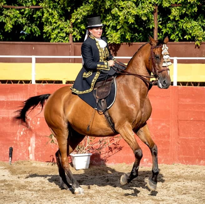 Fuengirola: Spanish Horse Show with Optional Dinner/Flamenco - Food, drinks, and what you should expect to pay extra
