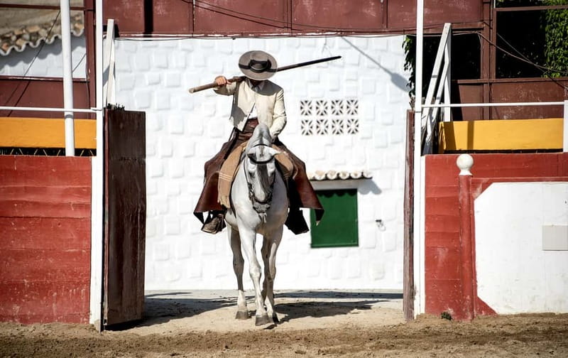 Fuengirola: Spanish Horse Show with Optional Dinner/Flamenco - A real Spanish night at Finca El Cartujano (Fuengirola)