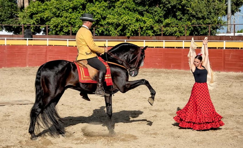 Fuengirola: Spanish Horse Show with Optional Dinner/Flamenco - The one-day schedule, with timing that helps you plan