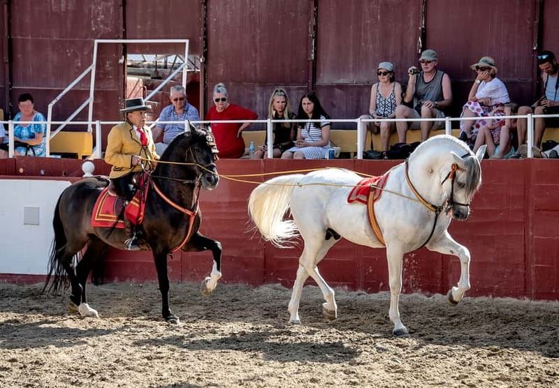 Fuengirola: Spanish Horse Show with Optional Dinner/Flamenco - 19:45 paella dinner in the trophy room