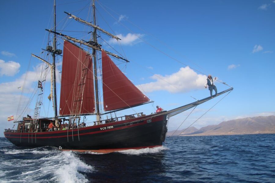 Fuerteventura: 4-Hour Pirate Sailing Adventure - Water Time: Swing Off the Side and Play in the Attached Pool