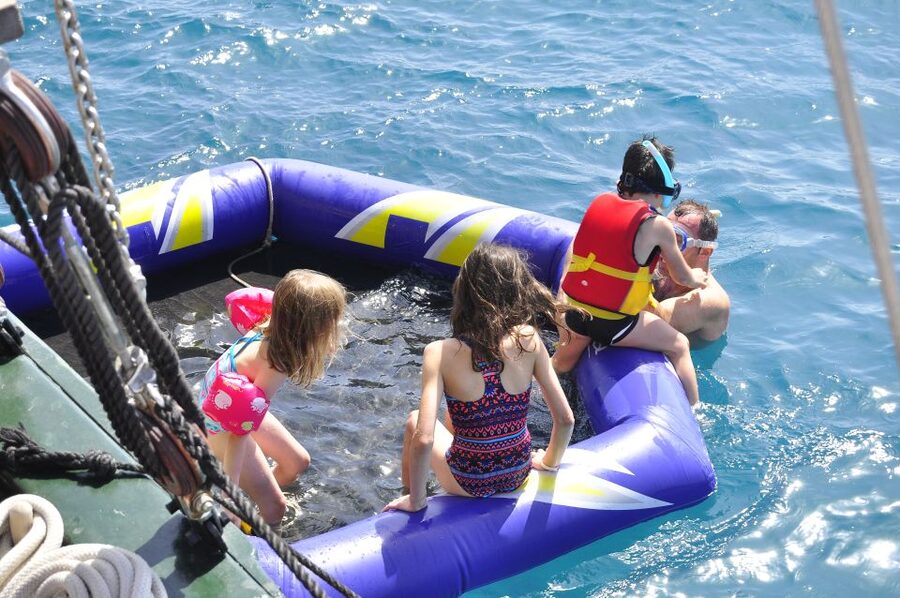Fuerteventura: 4-Hour Pirate Sailing Adventure - Wildlife Watching With a Blue-Flag Approach