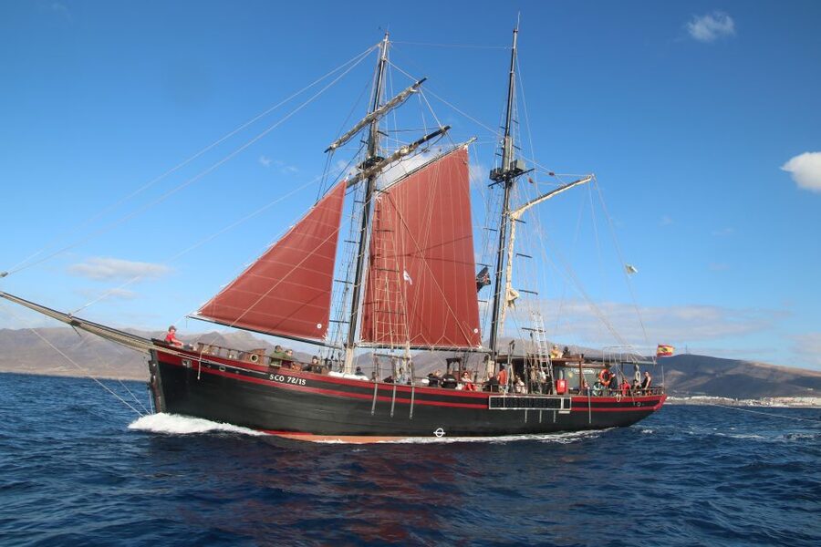 Fuerteventura: 4-Hour Pirate Sailing Adventure - Price and Value: Is $78 Worth It?