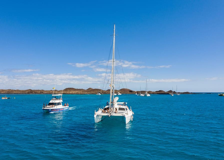 Fuerteventura : Catamaran excursion to Lobos Island - Comfort and small-group logistics: how to make it easy