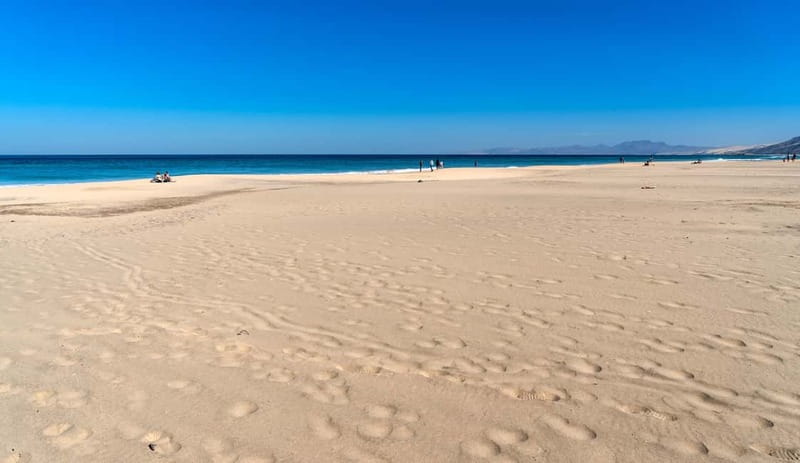 Fuerteventura: Cofete Beach Jeep Safari - What the bumpy ride is really like: comfort tips that matter