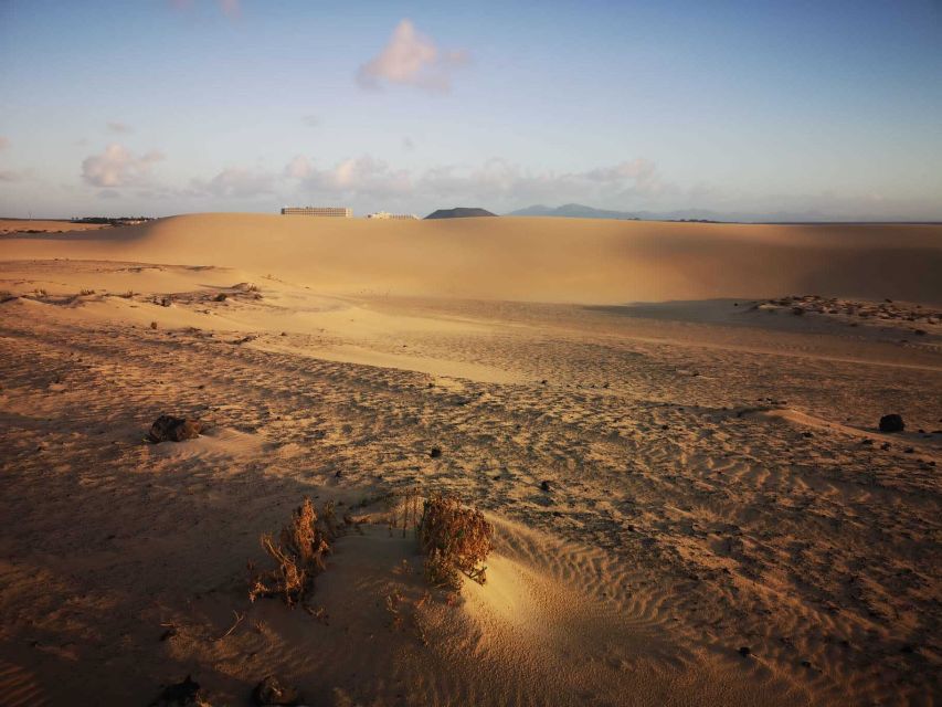 Fuerteventura: Corralejo Sand Dunes Guided Shore Excursion - Price and timing: is $23 worth it for a port-day?