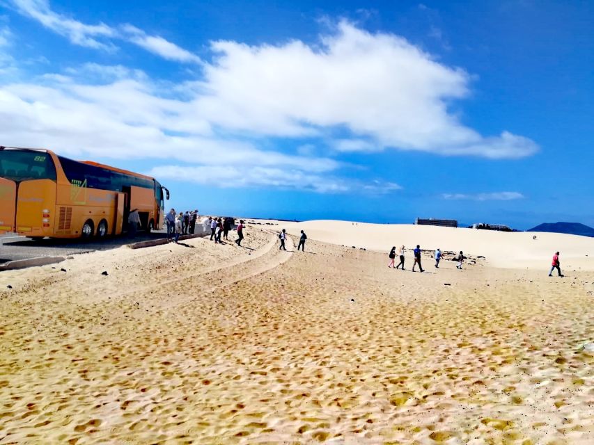 Fuerteventura: Corralejo Sand Dunes Guided Shore Excursion - Who this Corralejo dunes shore trip fits best