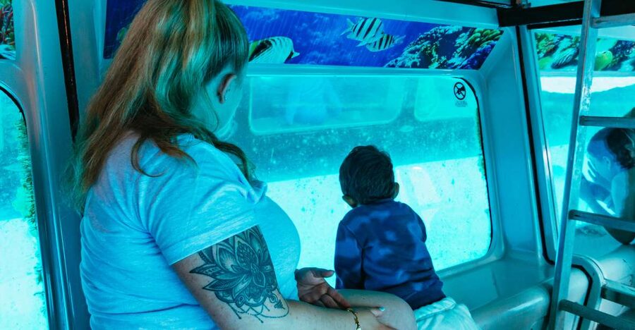 Fuerteventura: Glass Bottom Boat Cruise with Lunch & Drinks - Quick hits for your Fuerteventura boat day