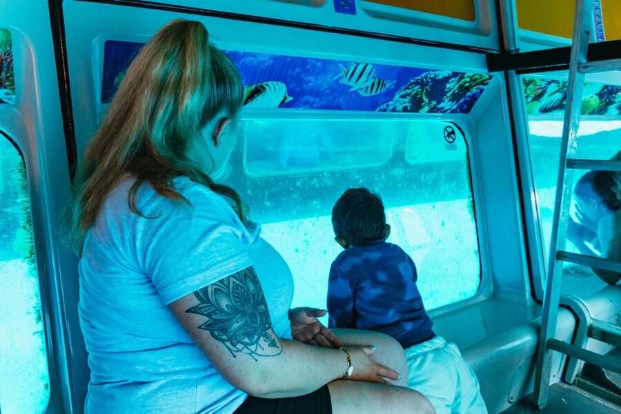 Fuerteventura: Glass Bottom Boat Cruise with Lunch & Drinks - The wildlife search at sea, dolphins and whales without hype