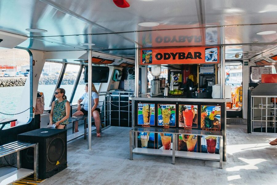 Fuerteventura: Glass Bottom Boat Cruise with Lunch & Drinks - Who should book this cruise, families, couples, and accessibility needs