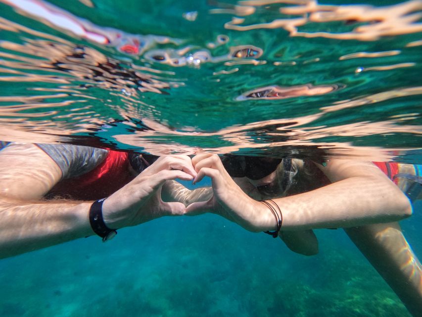 Fuerteventura: Guided Snorkeling in La Lajita with Pickup - La Lajita in 50 minutes: what this snorkeling outing really gives you