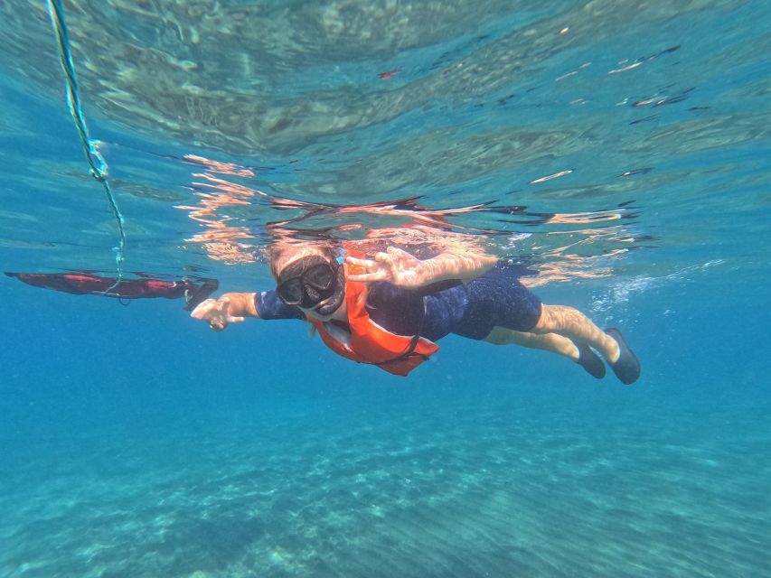 Fuerteventura: Guided Snorkeling in La Lajita with Pickup - Pickup that saves you time (and keeps you sane)