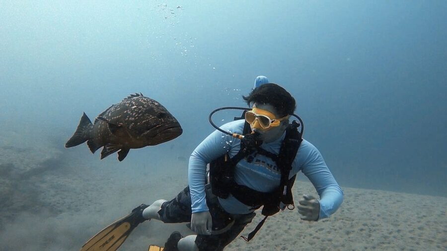 Fuerteventura: Introduction to Scuba Diving - Getting to the Dive Centre in Costa Calma (Even If You Might Not Need To)