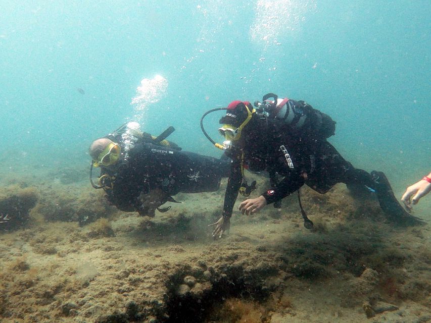 Fuerteventura: Introduction to Scuba Diving - Life at La Lajita Underwater, Fish, Rock, and Big Moments