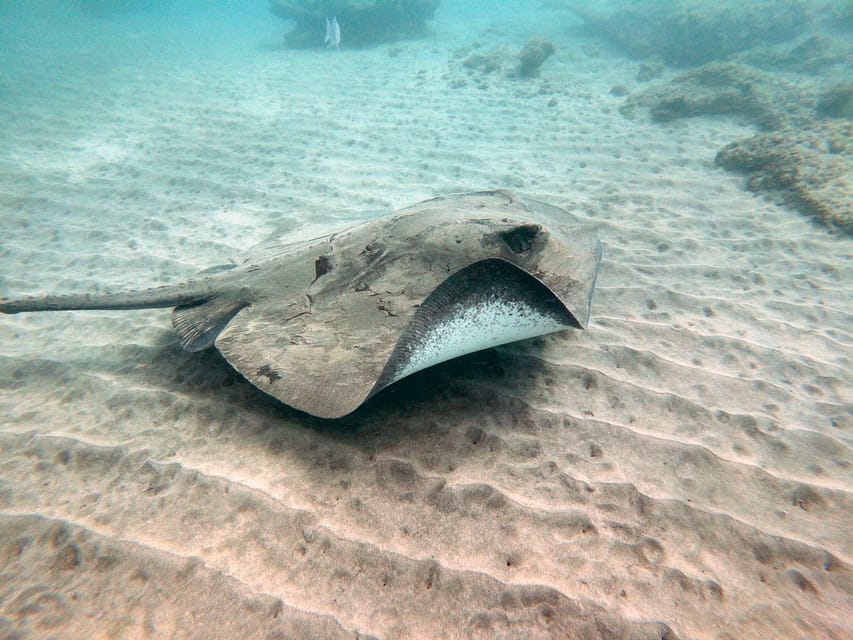 Fuerteventura: Introduction to Scuba Diving - Practical Packing and Comfort Tips That Actually Help