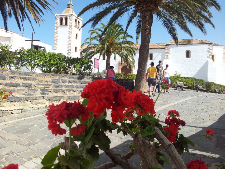 Fuerteventura: Island Tour by Minibus - Timing, fatigue, and what to plan for