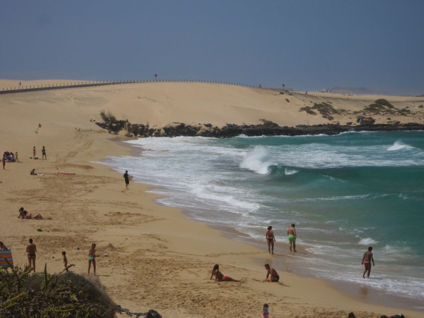 Fuerteventura: Island Tour by Minibus - Goat cheese farm visit: tasting the island through a working tradition