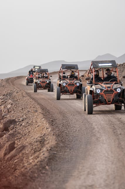 Fuerteventura: Jandía Natural Park & The Puertito Buggy Tour - Key Points at a Glance