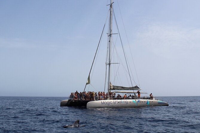 Fuerteventura: Magic Select Catamaran Trip with Food & Drinks - Lunch and Drinks on Board: Where the Value Really Shows