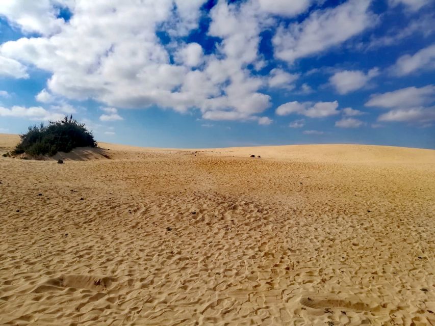 Fuerteventura: North of Fuerteventura for Cruise Passengers - North Fuerteventura is the smart move on a cruise day