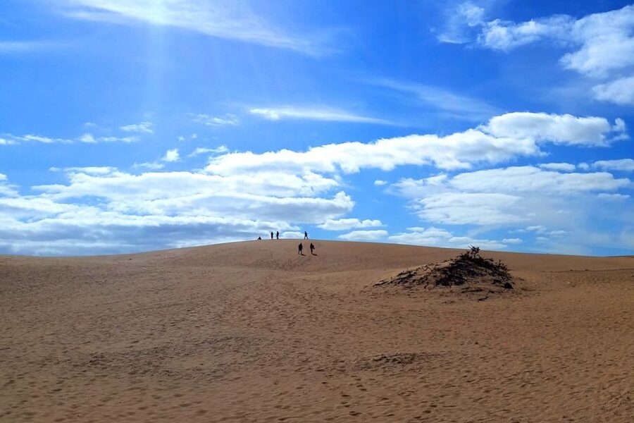 Fuerteventura: Panoramic Tour - Corralejo to the sand dunes, the tour’s fast start