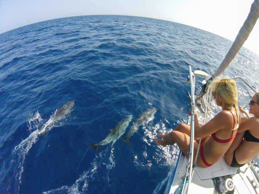 Fuerteventura: Sailing with Snorkeling and Dolphin Watching - Anchor time: swim and snorkel in clear water