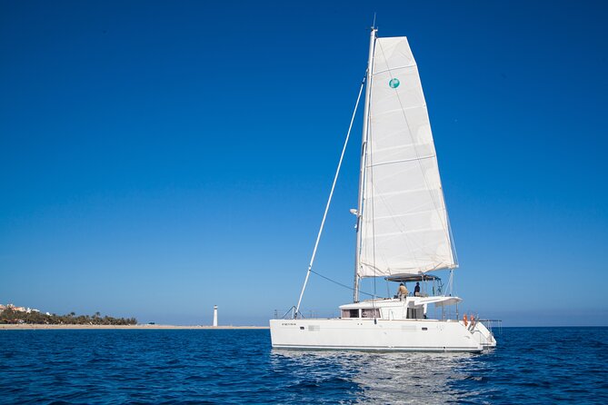 Fuerteventura: Small-Group Magic Deluxe Catamaran Cruise - When this cruise is the right choice