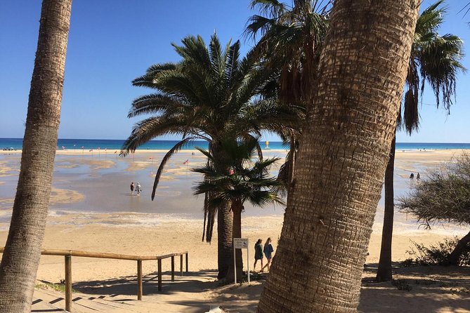Fuerteventura South Exclusive Tour - Mirador Guise y Ayose: the quick viewpoint fix