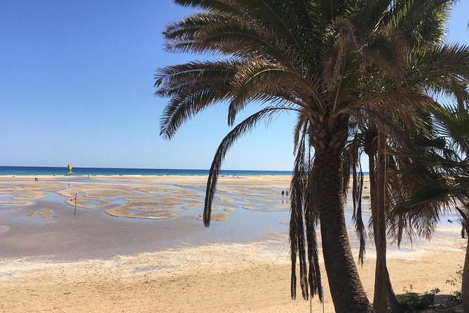 Fuerteventura South Exclusive Tour - Sotavento de Jandia: white sand and the wind-surfing scene