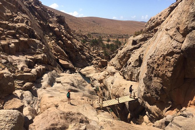 Fuerteventura South Exclusive Tour - Pickup and timing: why the morning plan is the difference