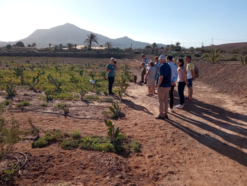 Fuerteventura: Tapas and Local Life Guided Tour - Key things I’d plan around