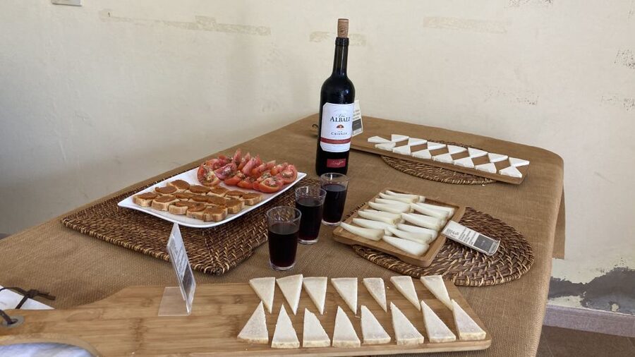 Fuerteventura: Tapas and Local Life Guided Tour - Pickup, the van rides, and why timing feels smooth