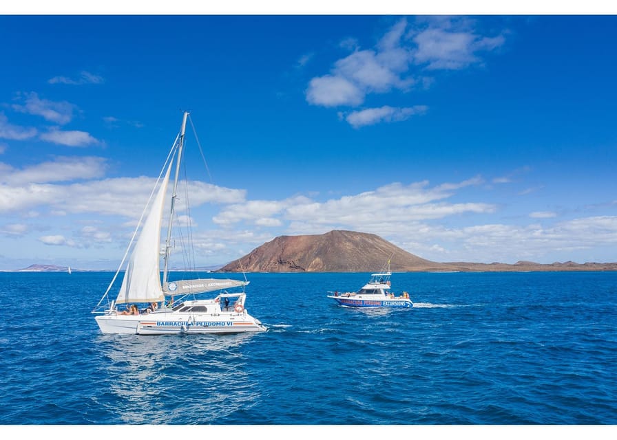 Fuerteventura: Whale & Dolphin Watching Boat Tour with Guide - Key things I’d watch for on this tour