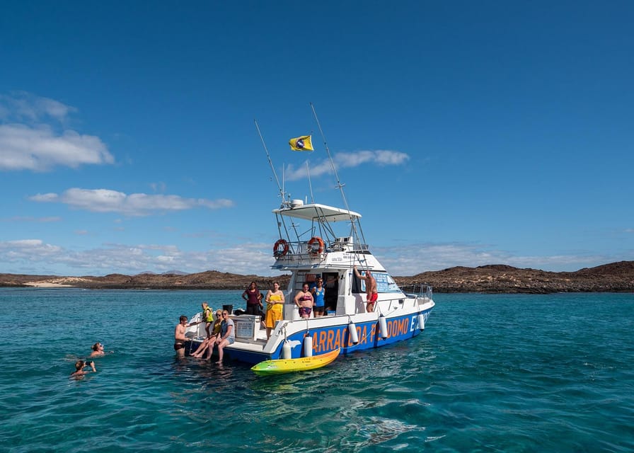 Fuerteventura: Whale & Dolphin Watching Boat Tour with Guide - From Barracuda Perdomo huts to open water fast