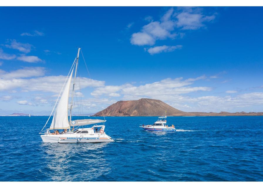 Fuerteventura: Whale & Dolphin Watching Boat Tour with Guide - South Lanzarote and North Fuerteventura views, plus why the route matters