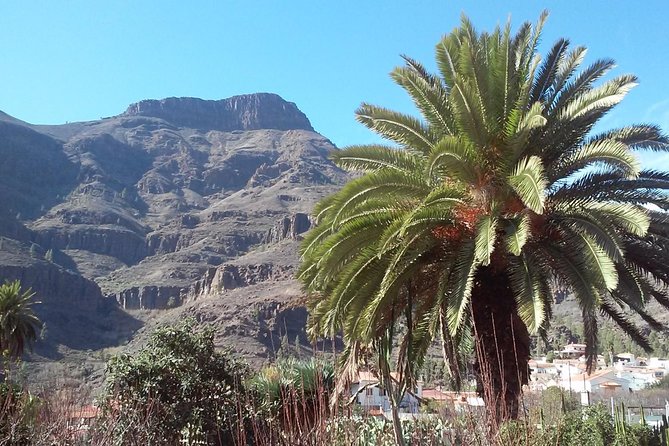 Full Day Across the Island Tour from Las Palmas - A Long Day, So Let’s Talk Comfort and Timing
