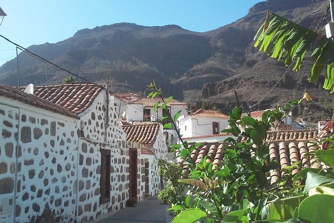 Full Day Across the Island Tour from Las Palmas - Santa Brígida: A Green Pause in the Middle of the Island