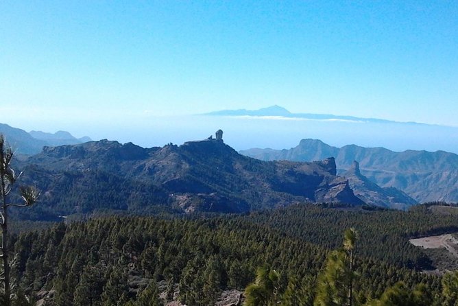 Full Day Across the Island Tour from Las Palmas - Pico de las Nieves: Highest Peak Views and the Roque Rocks